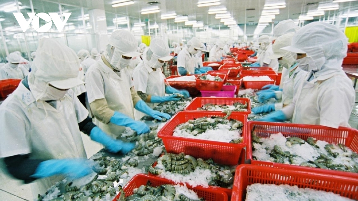 Shrimp businesses intensify greater investment for long-term development